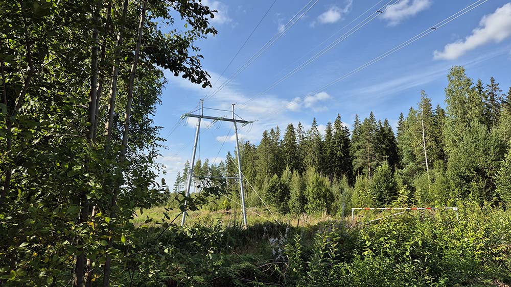 Puustoa, sähköverkkoa ja kesäinen sininen taivas. Kuvastaa sähköverkkoalueen raivaustöitä.