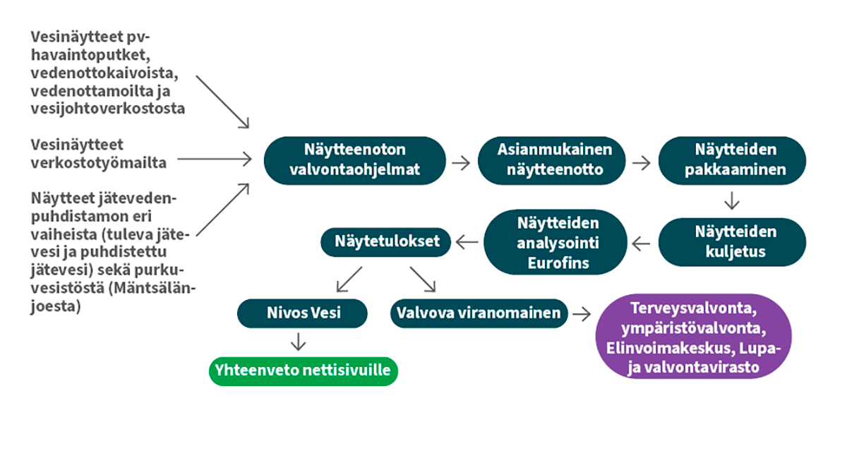 Prosessikaavio, joka kuvaa vesinäytteiden valvonta- ja analyysiprosessia. Kaavio esittää näytteiden keräämisen vesilaitosten, verkoston ja jätevedenpuhdistamon eri vaiheista, näytteenoton valvontaohjelmat, asianmukaisen näytteenoton, pakkaamisen ja kuljetuksen, analysoinnin Eurofinsilla sekä tulosten raportoinnin Nivos Vedelle ja valvoville viranomaisille, minkä jälkeen tiedot kootaan verkkosivujen yhteenvedoksi.