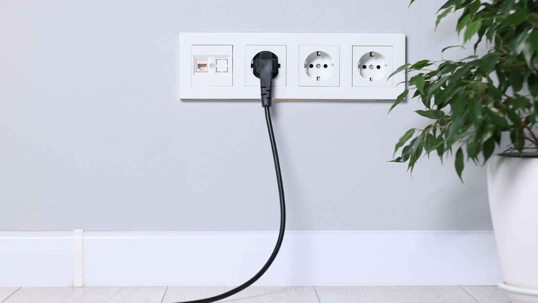 Kuvassa on harmaa seinä, jossa on kolme pistorasiaa sekä paikka ethernet-liitännälle. Ensimmäiseen pistorasiaan on kytketty sähköjohto. Pistorasioiden vieressä on vihreälehtinen kasvi valkoisessa ruukussa.
